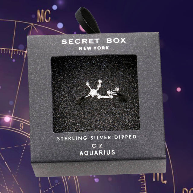 Madeline Love Silver Secret Box _ Sterling Silver Dipped CZ Zodiac Sign Aquarius Ring - Jewelry