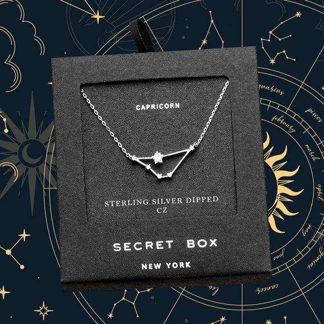 Madeline Love Silver Secret Box _ Sterling Silver Dipped CZ Capricorn Zodiac Sign Pendant Necklace - Necklaces